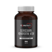 10xProtect Glükozamin Kondroitin MSM 60 db