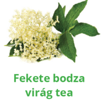 TEA - Bodza - 40 g