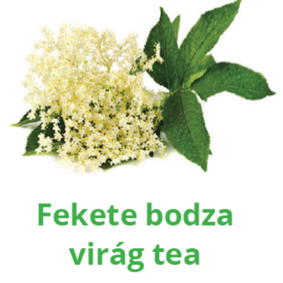 Fekete bodza virág tea