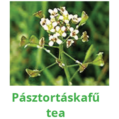 Pásztortáskafű tea